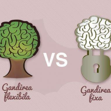 Gandirea fixa vs. gandirea flexibila